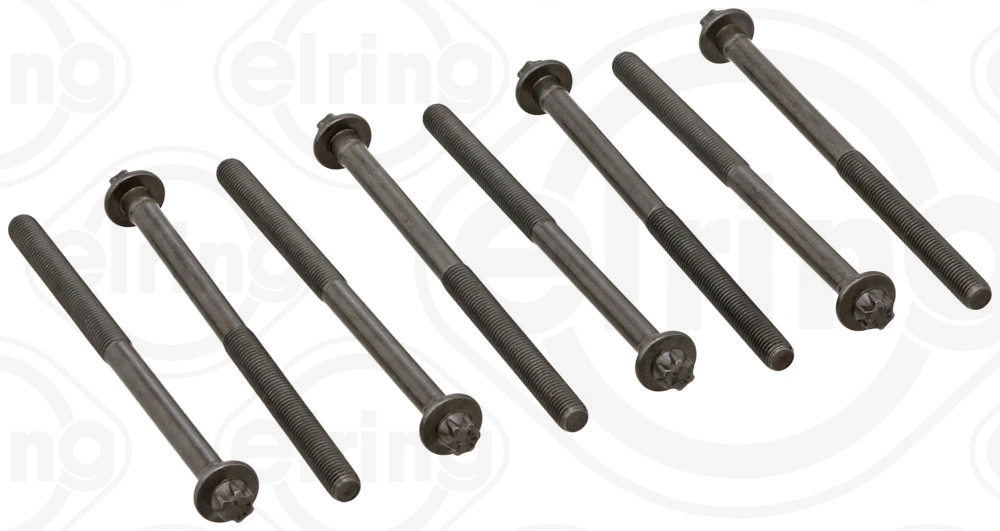 ELRING 258920