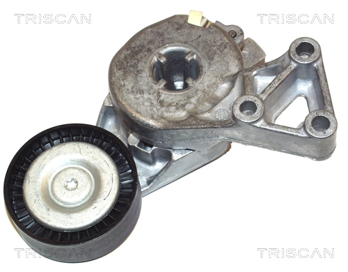 TRISCAN 8641293003