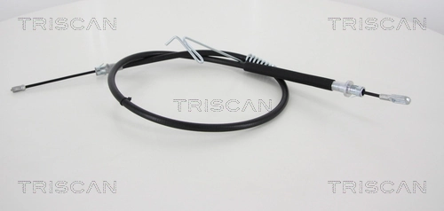 TRISCAN 8140161133