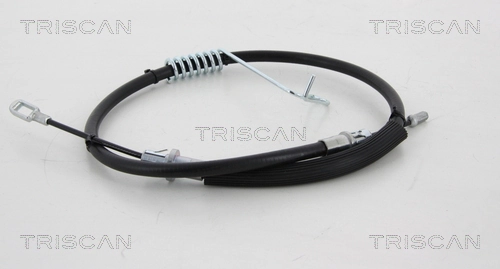 TRISCAN 8140161134