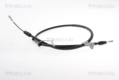 TRISCAN 8140161197