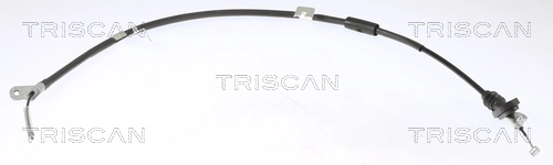 TRISCAN 8140141168