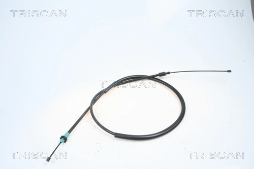 TRISCAN 814038137