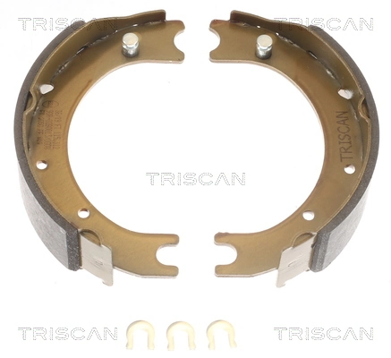 TRISCAN 810013036