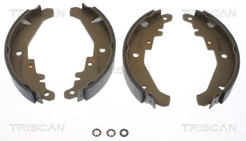 TRISCAN 810015026