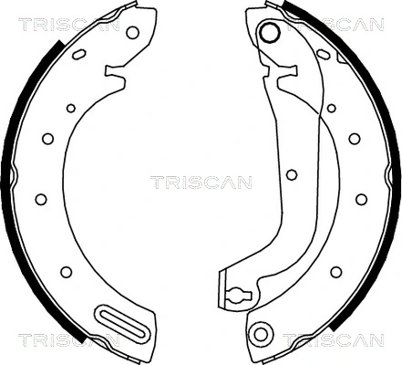 TRISCAN 810014596