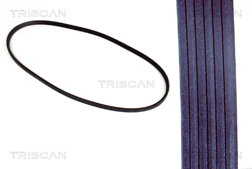 TRISCAN 8640131325