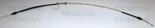 TRISCAN 8140161198