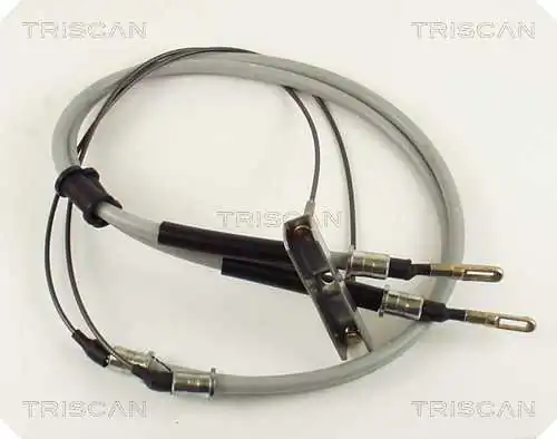 TRISCAN 814024107