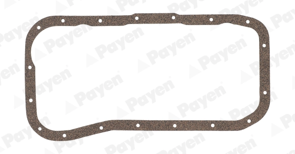 PAYEN JH5220