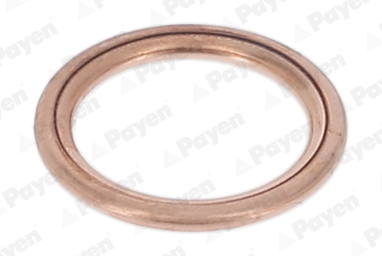 PAYEN PA349