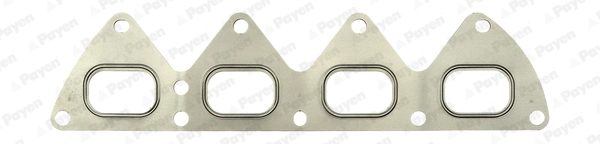 PAYEN JD5894