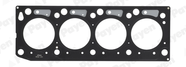 PAYEN AB5320