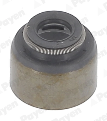 PAYEN KJ570