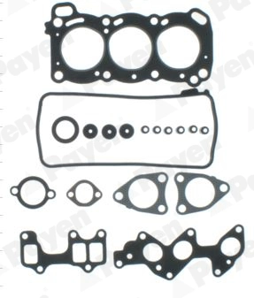 PAYEN DR140