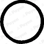 PAYEN PB248