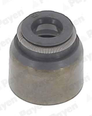 PAYEN PB681