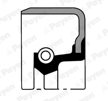 PAYEN NJ101