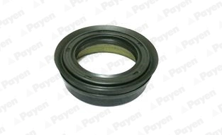 PAYEN NJ689