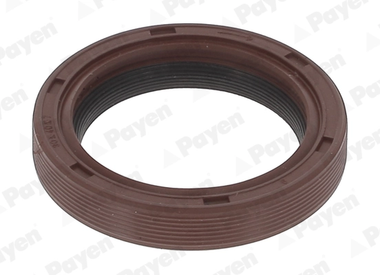 PAYEN NA5499