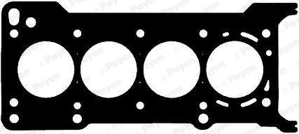 PAYEN AG8170