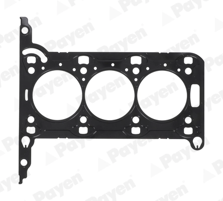 PAYEN AE5950