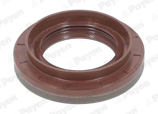 PAYEN NA5494