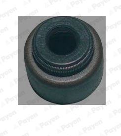 PAYEN KJ722
