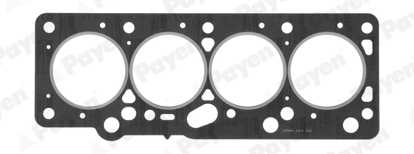 PAYEN BJ440