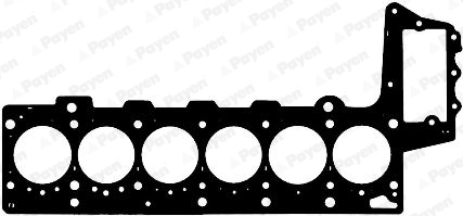 PAYEN AG9010