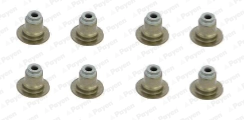 PAYEN HR5120