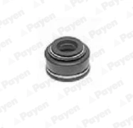 PAYEN PA528