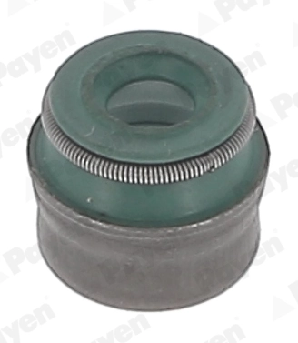 PAYEN PA5041