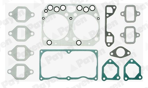 PAYEN DV500