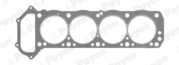 PAYEN BR660