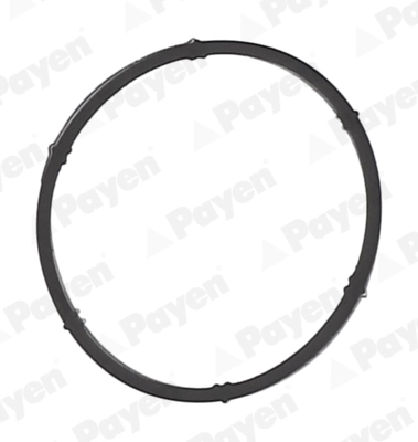PAYEN JD6171