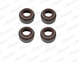 PAYEN HR5085