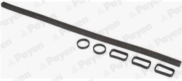 PAYEN HM5409