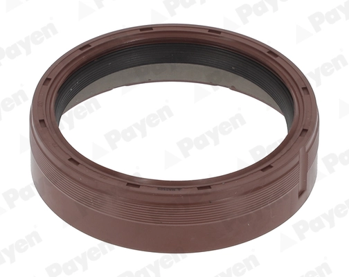 PAYEN NA5505