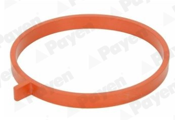 PAYEN JD6186