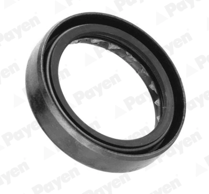 PAYEN NJ125