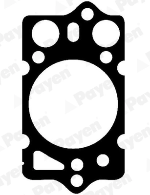 PAYEN BP260