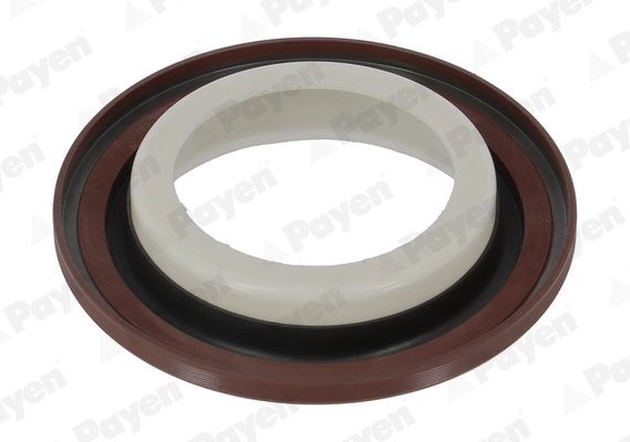 PAYEN NA5498