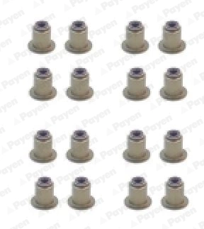 PAYEN HR5122