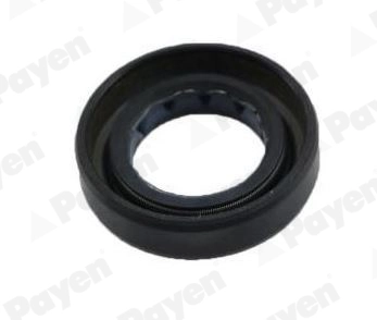 PAYEN NJ444
