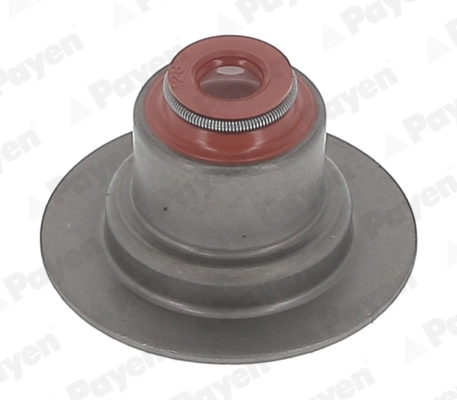 PAYEN HR5145