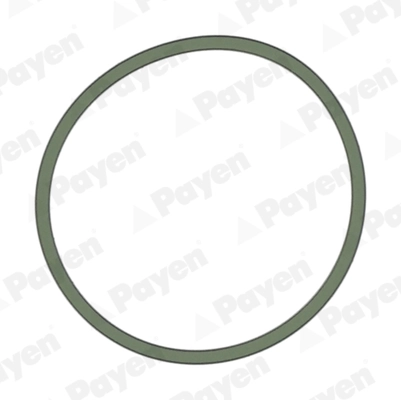 PAYEN JD5228