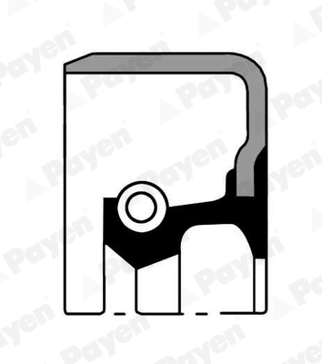 PAYEN NJ562