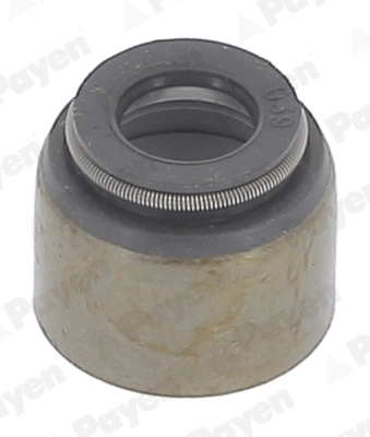 PAYEN KJ211