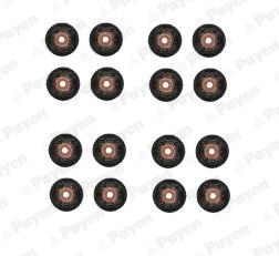 PAYEN HR5123